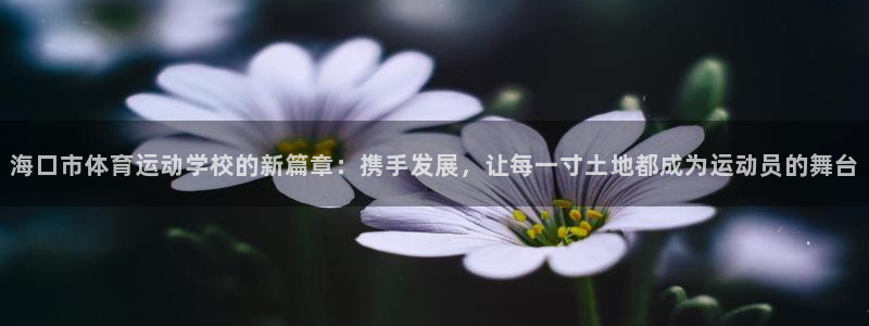 米兰体育官网下载平台注册流程视频:海口市体育运动学校的新篇章